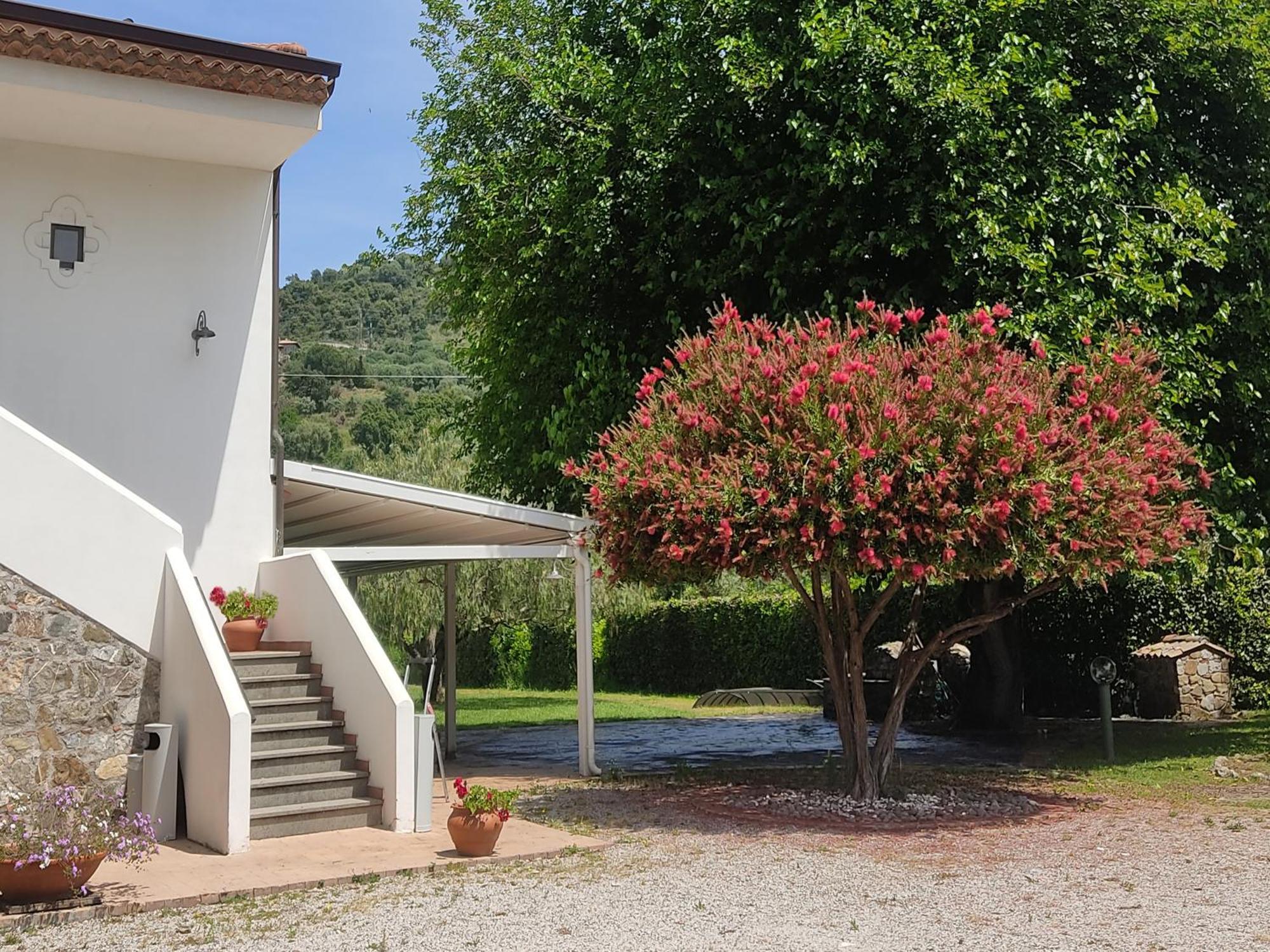 Krio Gelsomare Hotel Policastro Bussentino Exterior photo